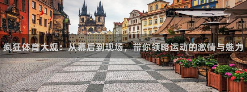 疯狂体育大观：从幕后到现场，带你领略运动的激情与魅力