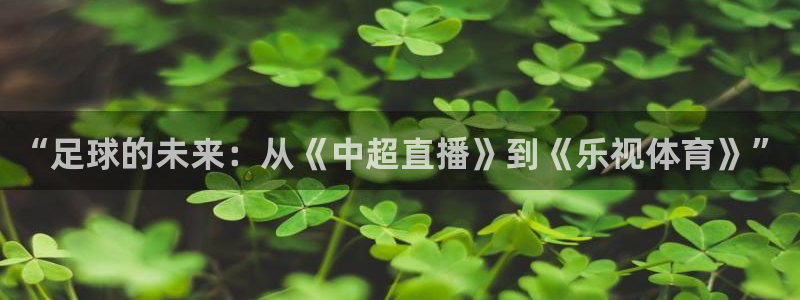 “足球的未来：从《中超直播》到《乐视体育》”