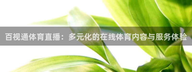 百视通体育直播：多元化的在线体育内容与服务体验