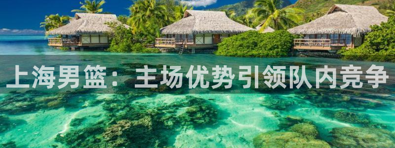 上海男篮：主场优势引领队内竞争